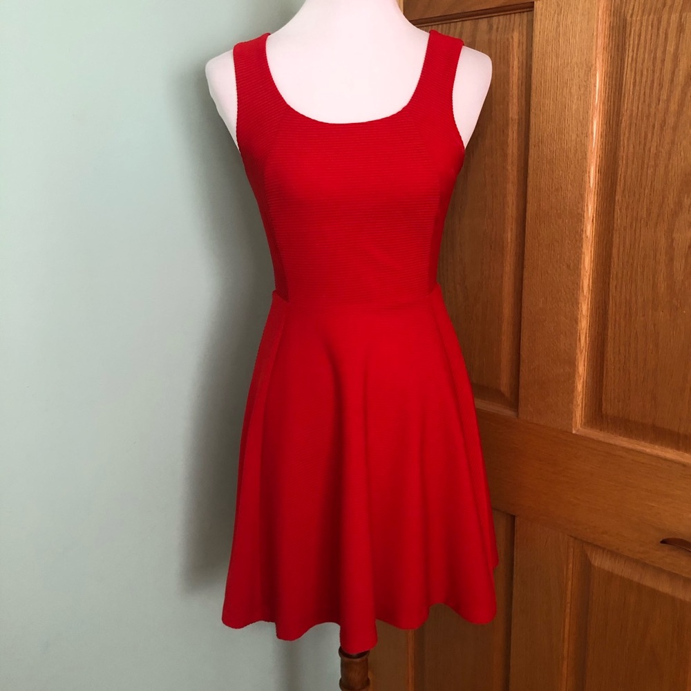 Express Red Skater Dress